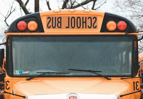 school bus macro photography of school bus transportation